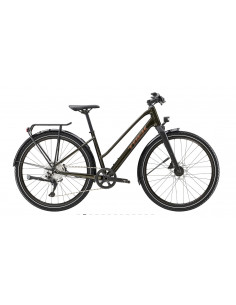 Trek Dual Sport 3 EQ Stagger Gen 5 2