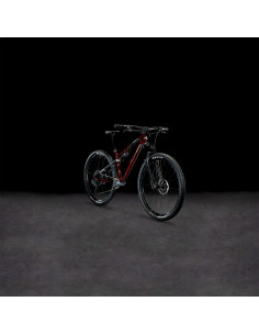 Cube 2024 AMS ONE11 C:68X Pro 2