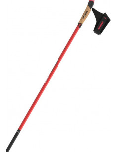 Atomic Stavar Redster WC QRS Carbon 2