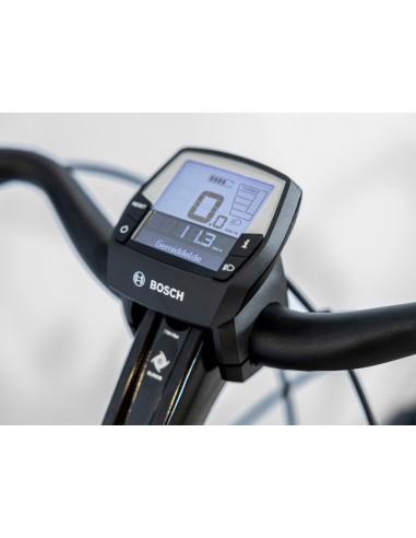 Trek Verve+ 2 500Wh Herr