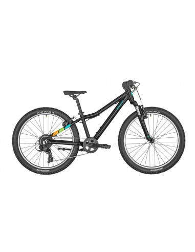 Bergamont Revox 24
