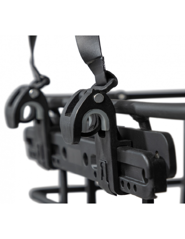 Spectra Pronto Korg CarryIn