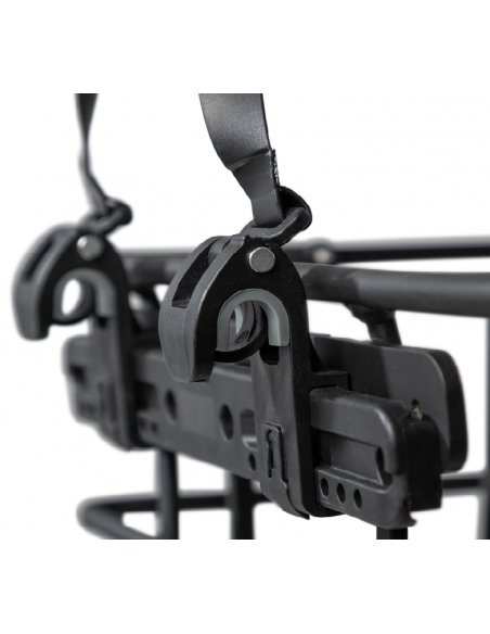 Spectra Pronto Korg CarryIn