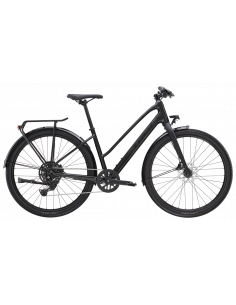 Trek Dual Sport 2 EQ Mid-Step Dam