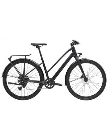 Trek Dual Sport 2 EQ Mid-Step Dam