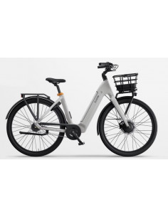 Ecoride Ambassador Gen 4 710Wh