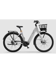Ecoride Ambassador Mittmotor Gen 4 710Wh Dam 2