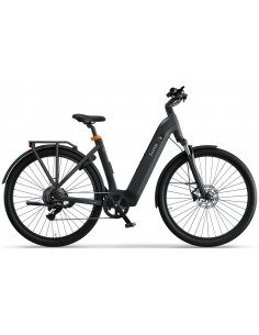 Ecoride Tripper Gen 4 710Wh Dam
