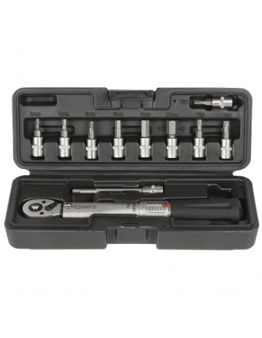 Mighty Momentnyckel 3/4/5/6/8/10mm Bits T20 T25 T30