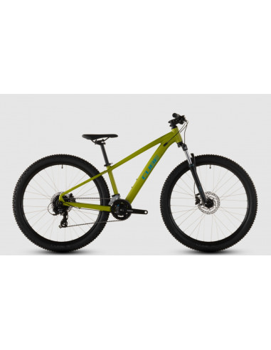 Cube Acid 260 Disc