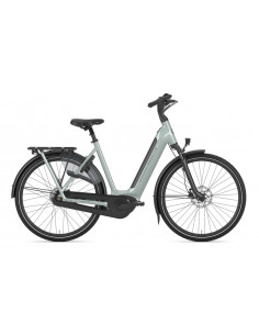 Gazelle Arroyo C8 HMB Elite