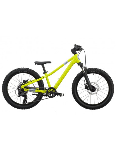 Scott Roxter 200